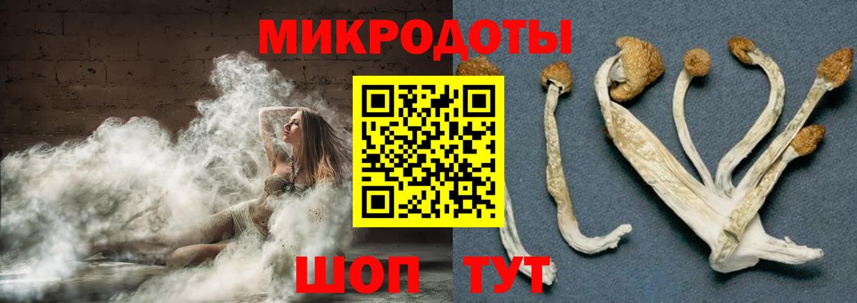 Псилоцибиновые грибы GOLDEN TEACHER  продажа наркотиков  Астрахань  Вход с VPN 